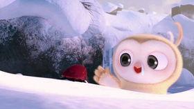 吃瓜比赛视频完整版,全程精彩瞬间回顾